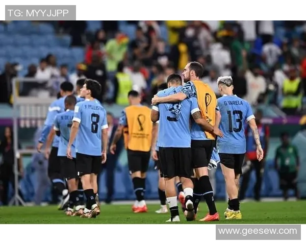 南非世界杯精彩对决乌拉圭与韩国的激烈较量回顾